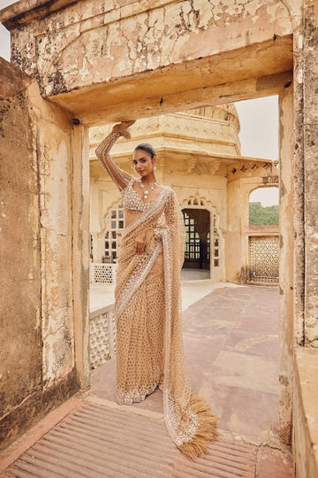 Champagne Sequin Embroidered Net Saree with Feather Detailing