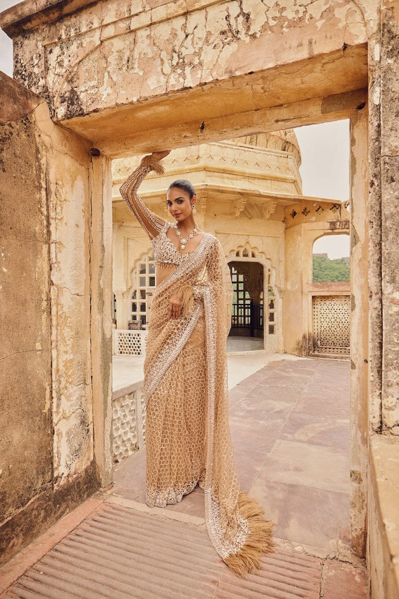 Champagne Sequin Embroidered Net Saree with Feather Detailing