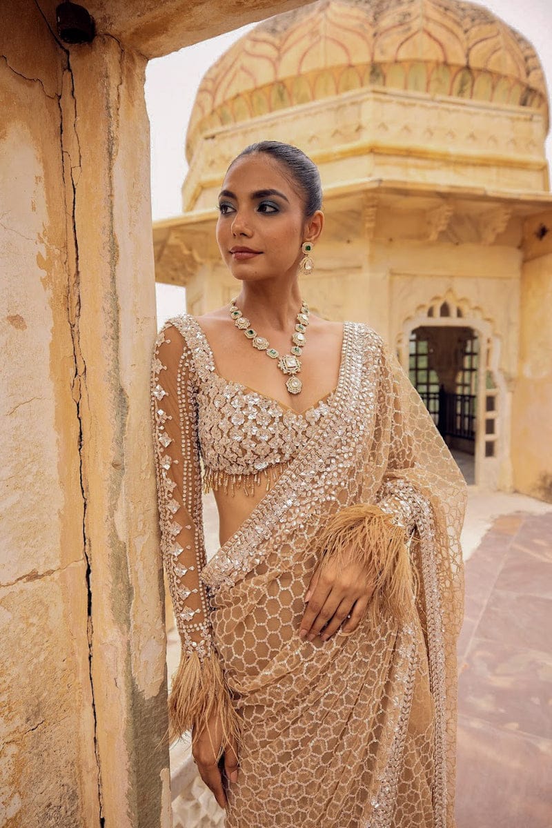 Champagne Sequin Embroidered Net Saree with Feather Detailing